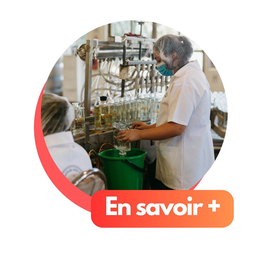 Visuel distillerie Guy et château de Joux