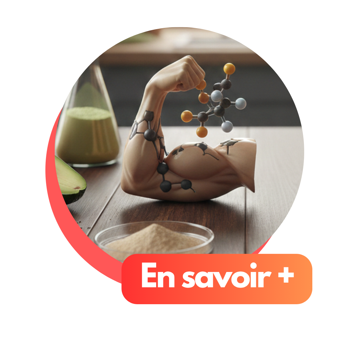 Visuel protéines et muscles