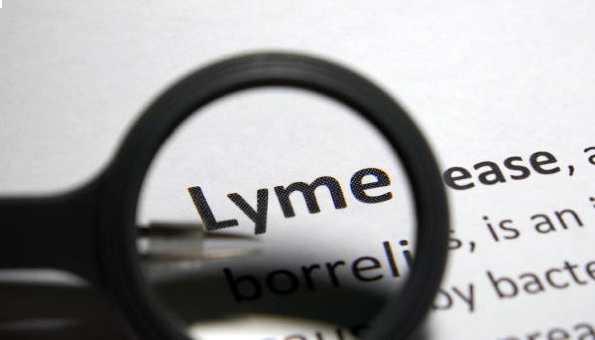 La maladie de Lyme et ses troubles 