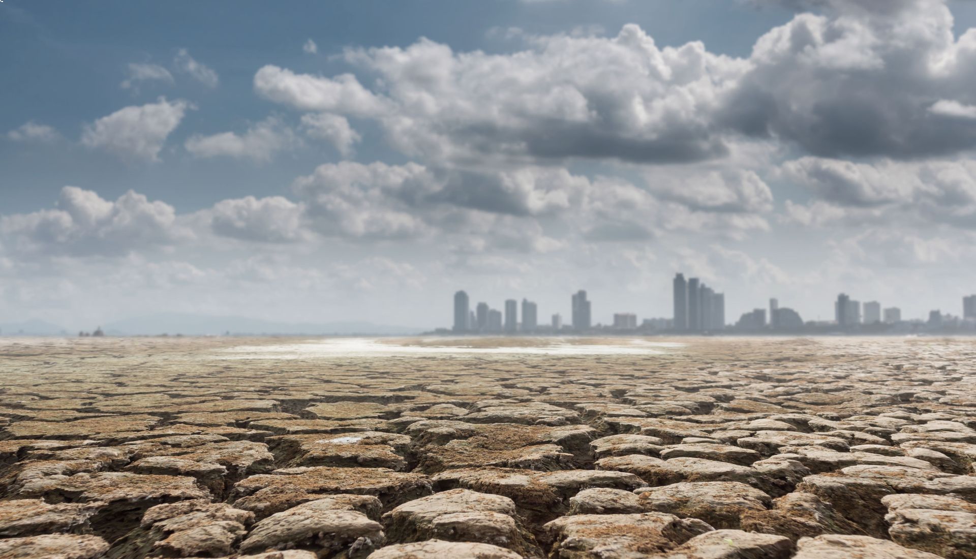 Eau-Climat-Biodiversité, trio gagnant du 21ème siècle