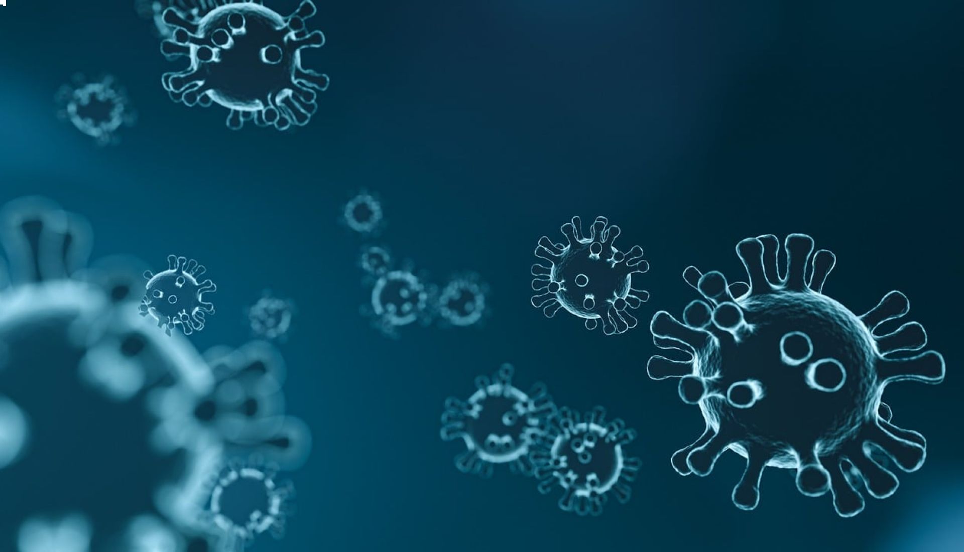 Les Papillomavirus Humains : que faire pour s’en protéger ? 