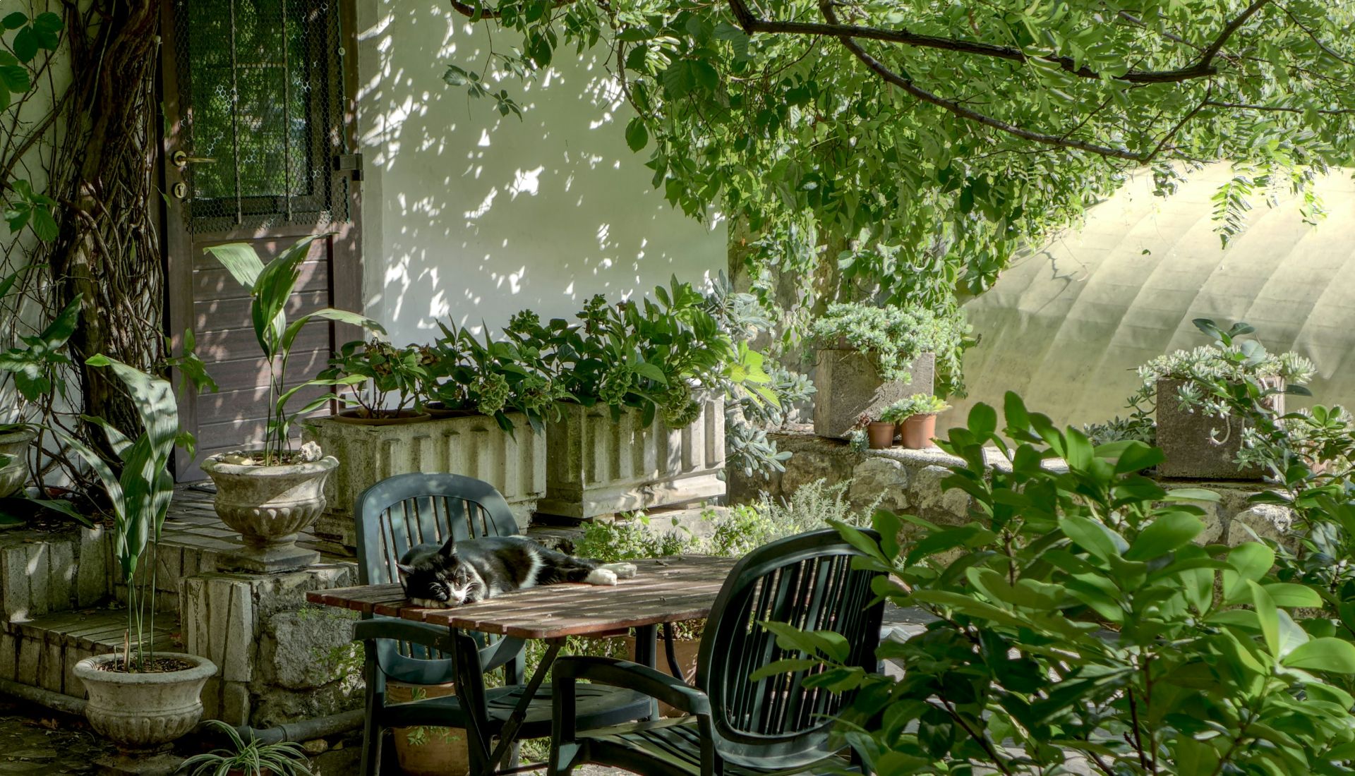 Rendre le jardin 
