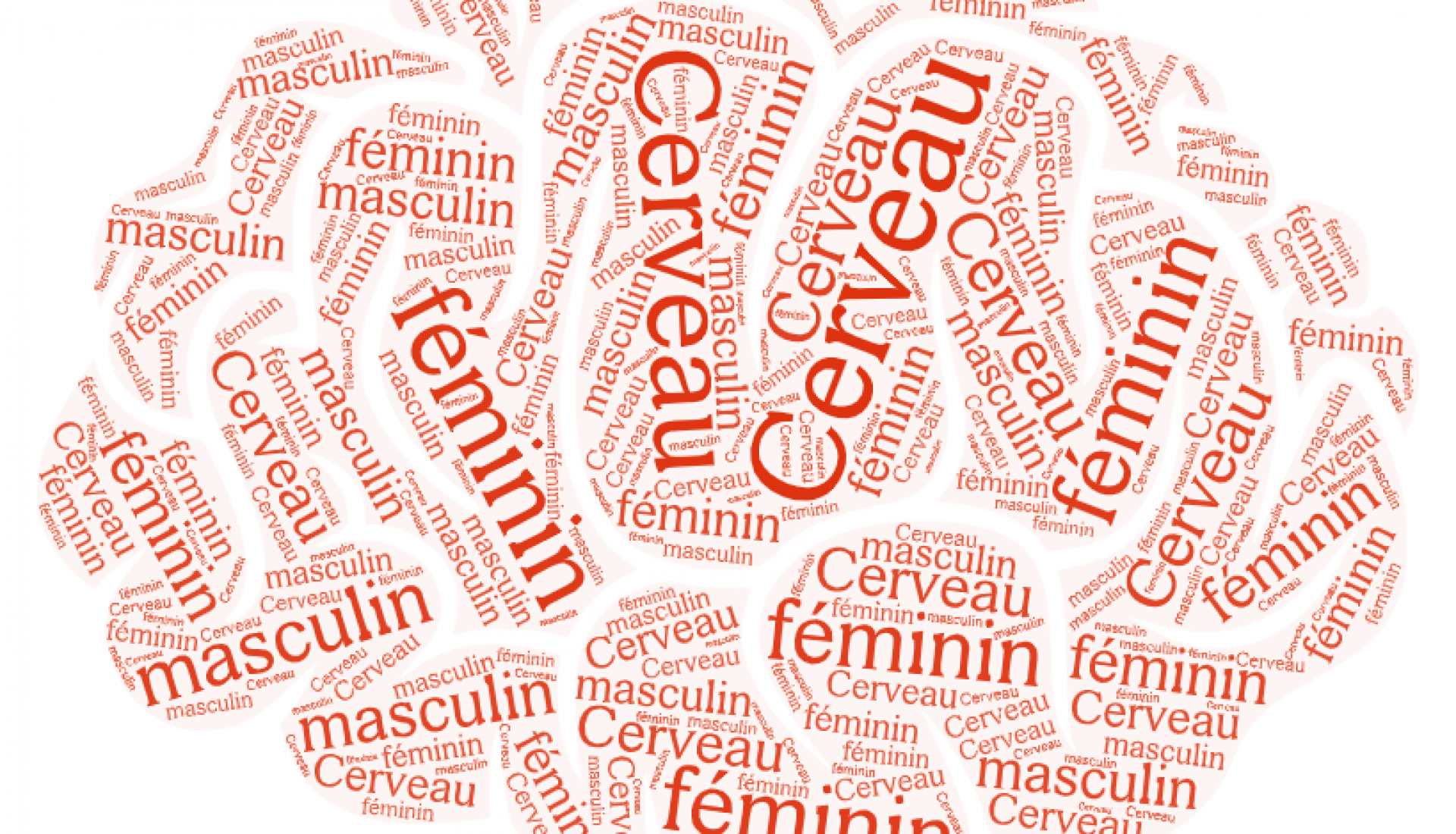 Cerveau féminin, cerveau masculin Cerveau féminin, cerveau masculin