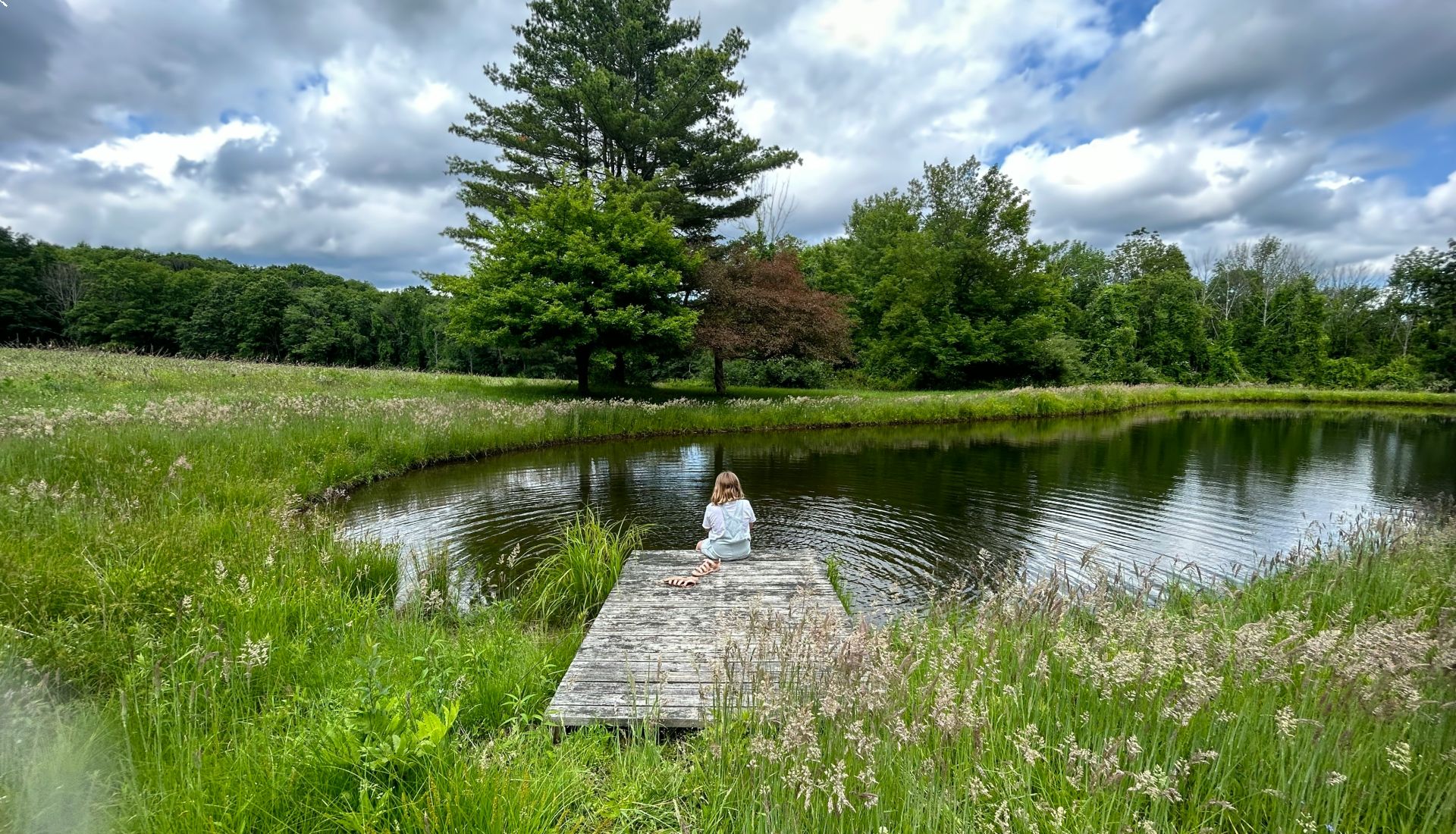 Découverte à l'étang des Forges