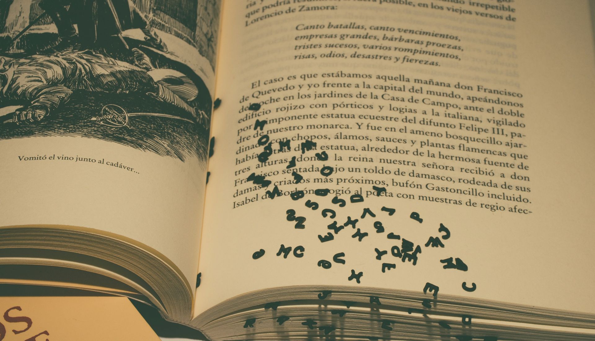 Le plaisir de la lecture