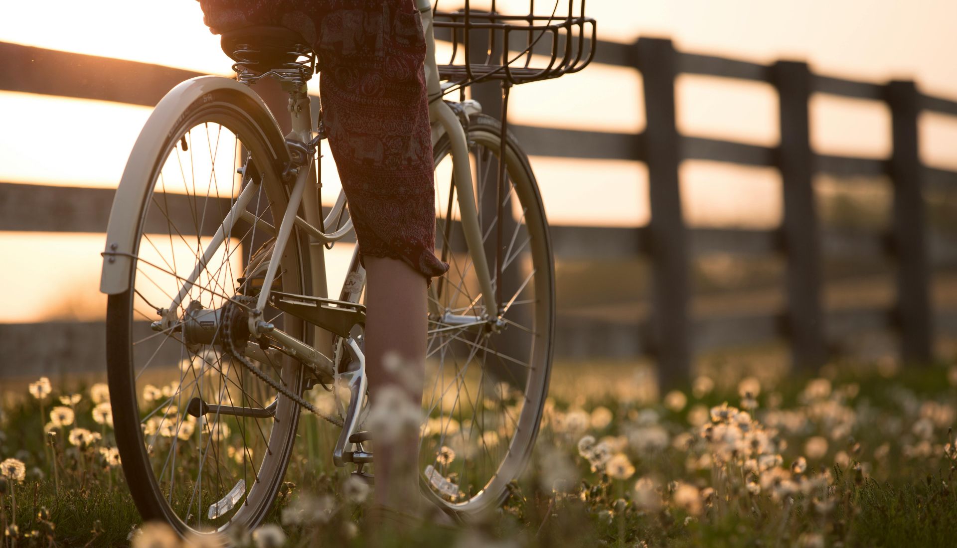 Le système vélo