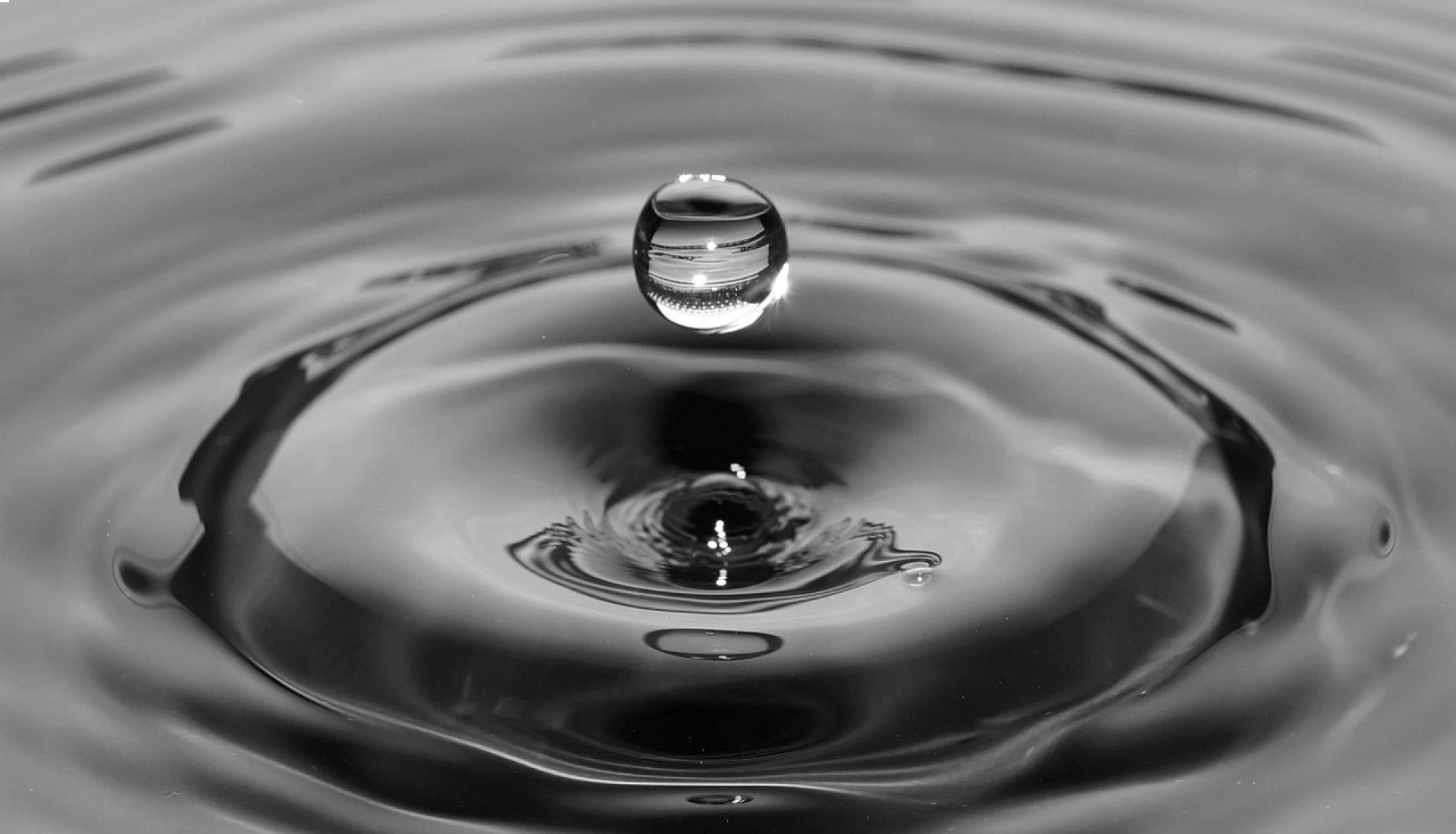 L'eau : un enjeu global, des actions locales