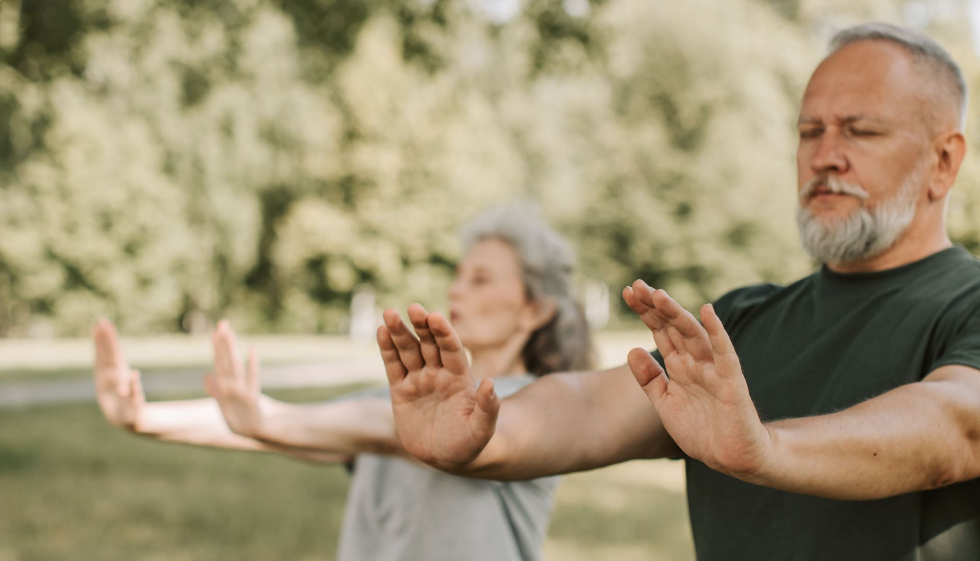 Qi gong et animaux divins : la tortue, le dragon, le phœnix et la licorne
