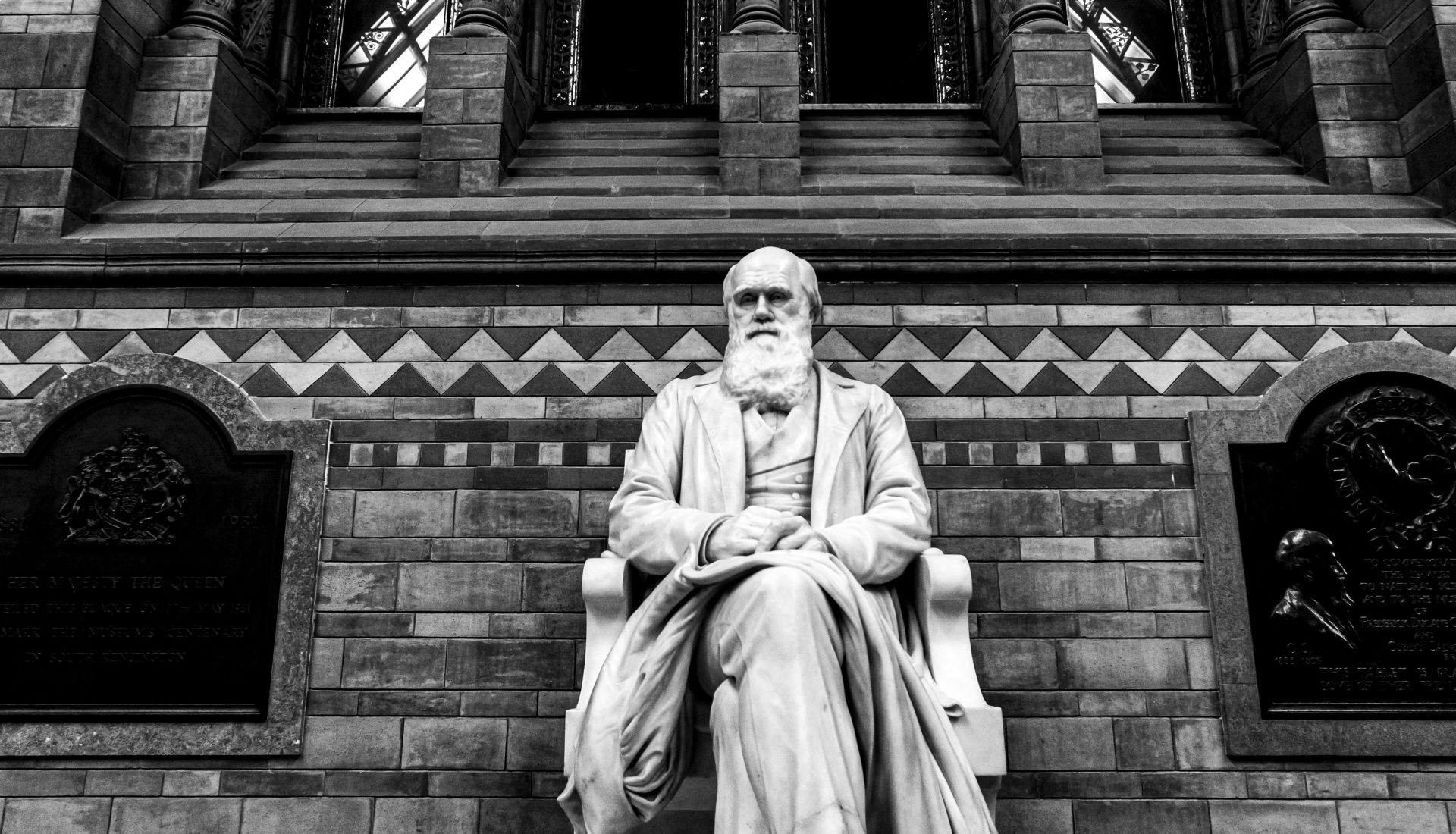 Charles Darwin, le Newton du brin d’herbe