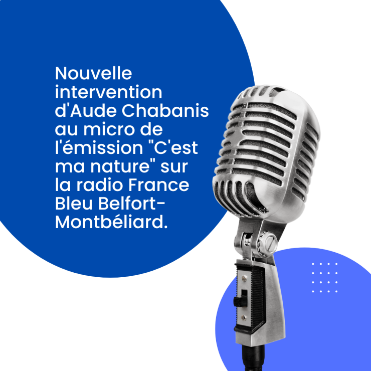 Nouvelle intervention radio d'Aude Chabanis au micro de l'émission