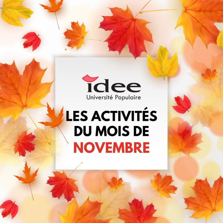 Un aperçu de nos activités du mois de novembre