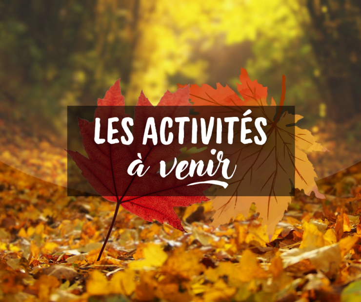 Les activités à venir