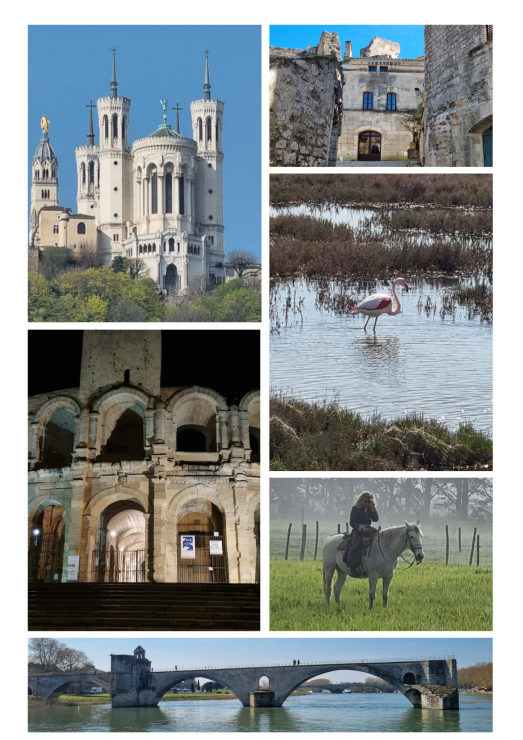 Croisière « Couleurs provençales » au fil du Rhône